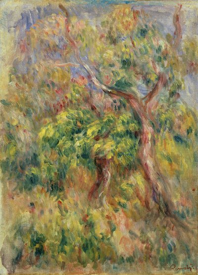 Trees, 1915-16 by Pierre Auguste Renoir